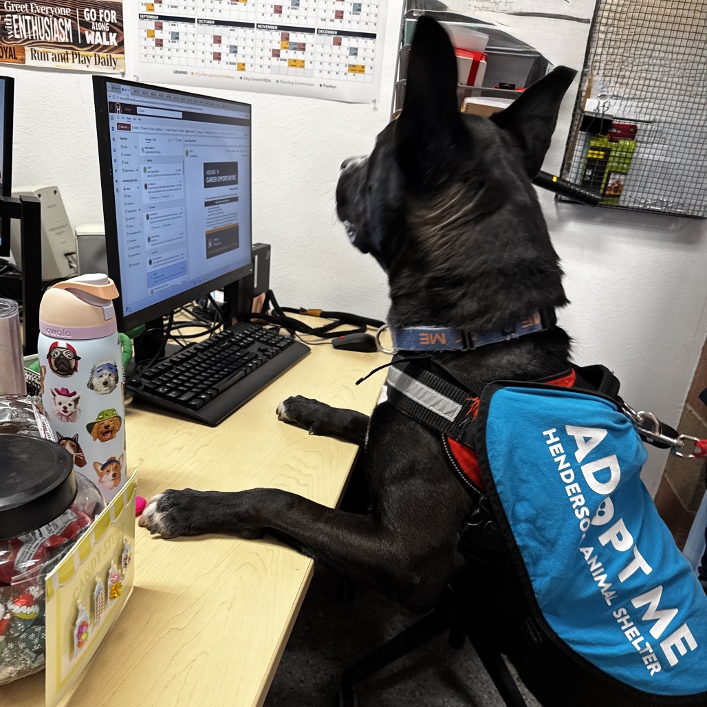 Assistant Director Kahuku