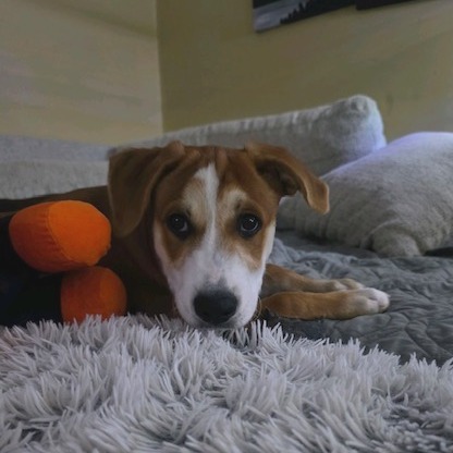 Marco, photo 4