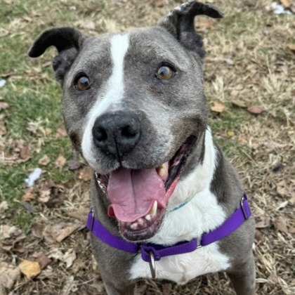 Princess Lollipop — thumbnail 4