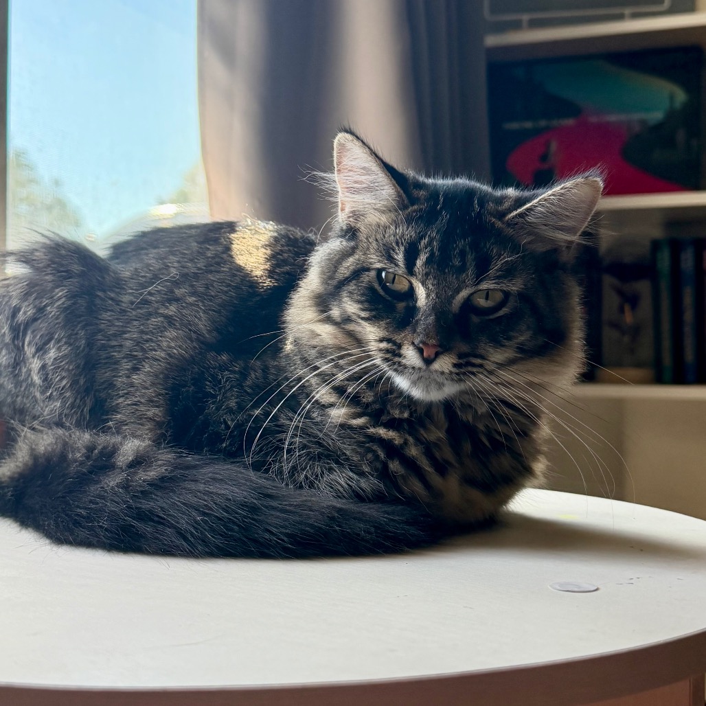 Belle