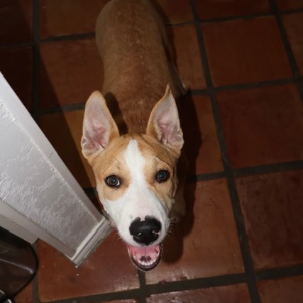 Max photo 12