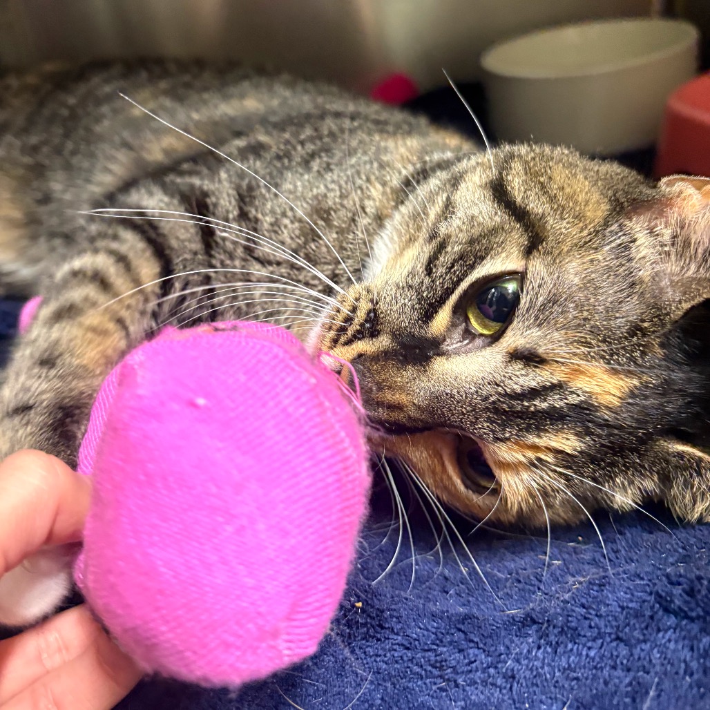 Photo of Coraline playing