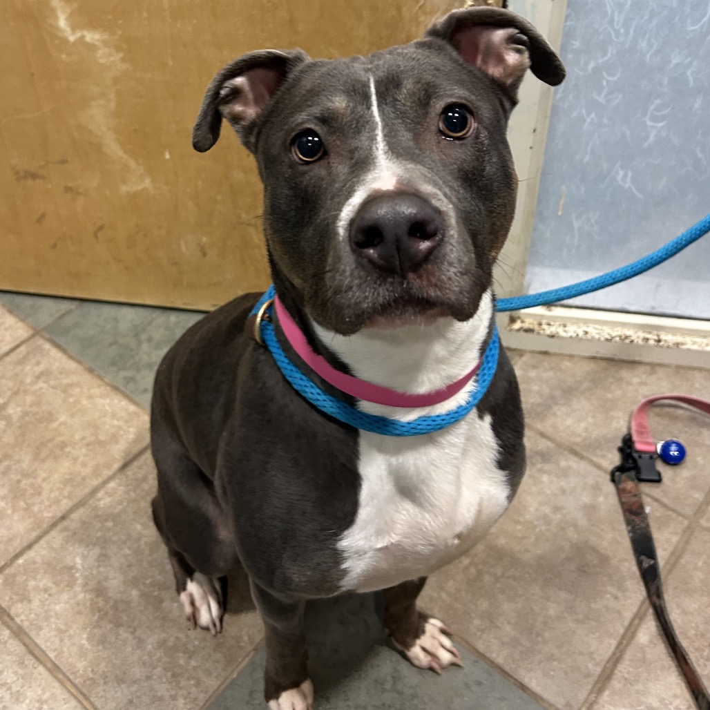 Coco — thumbnail 2