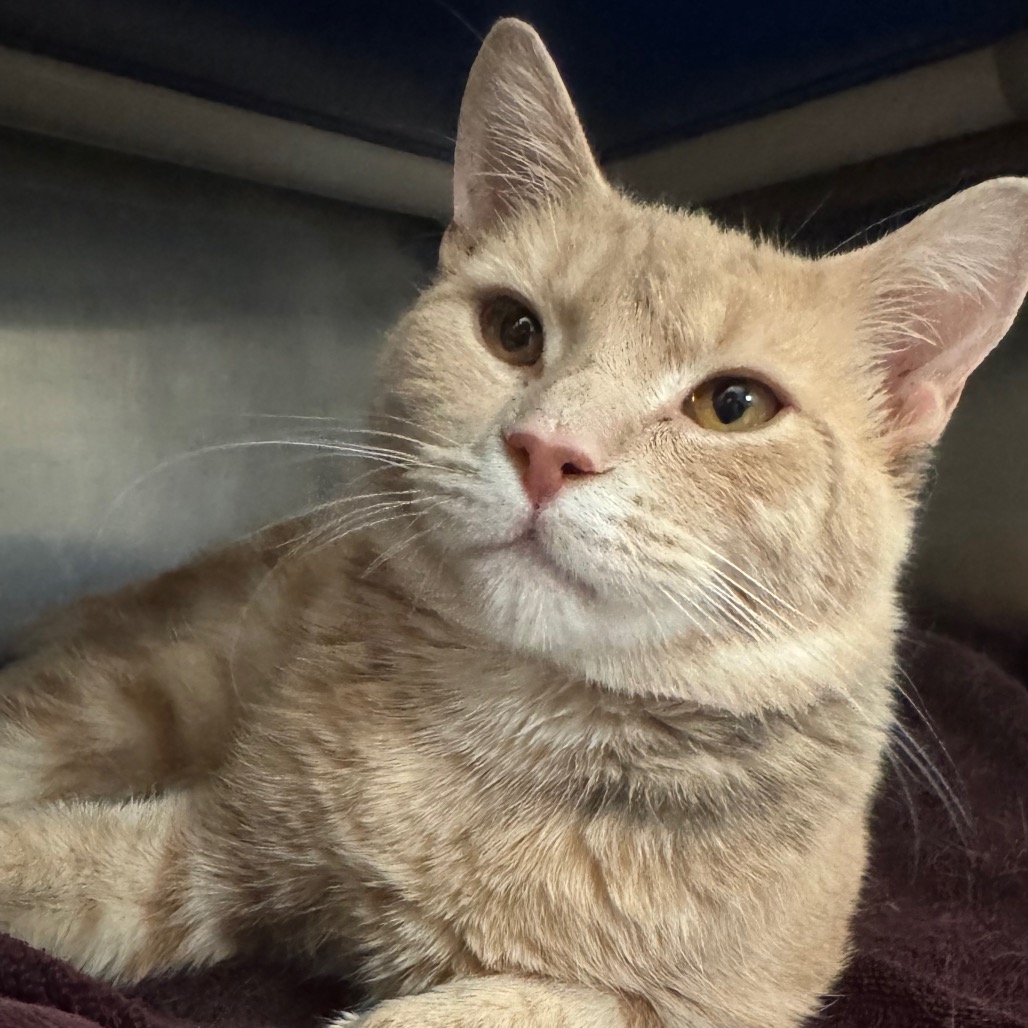 46fc3b731f4fa7ca293f8de0142c21d3