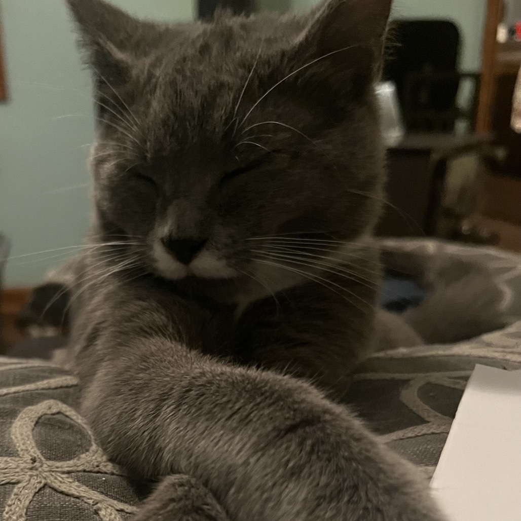 Whitt — thumbnail 3