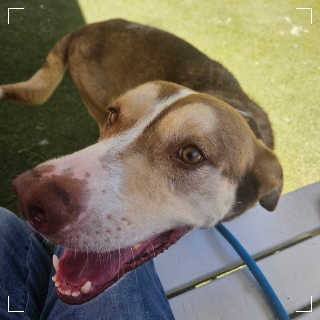 BANDIT, photo 6