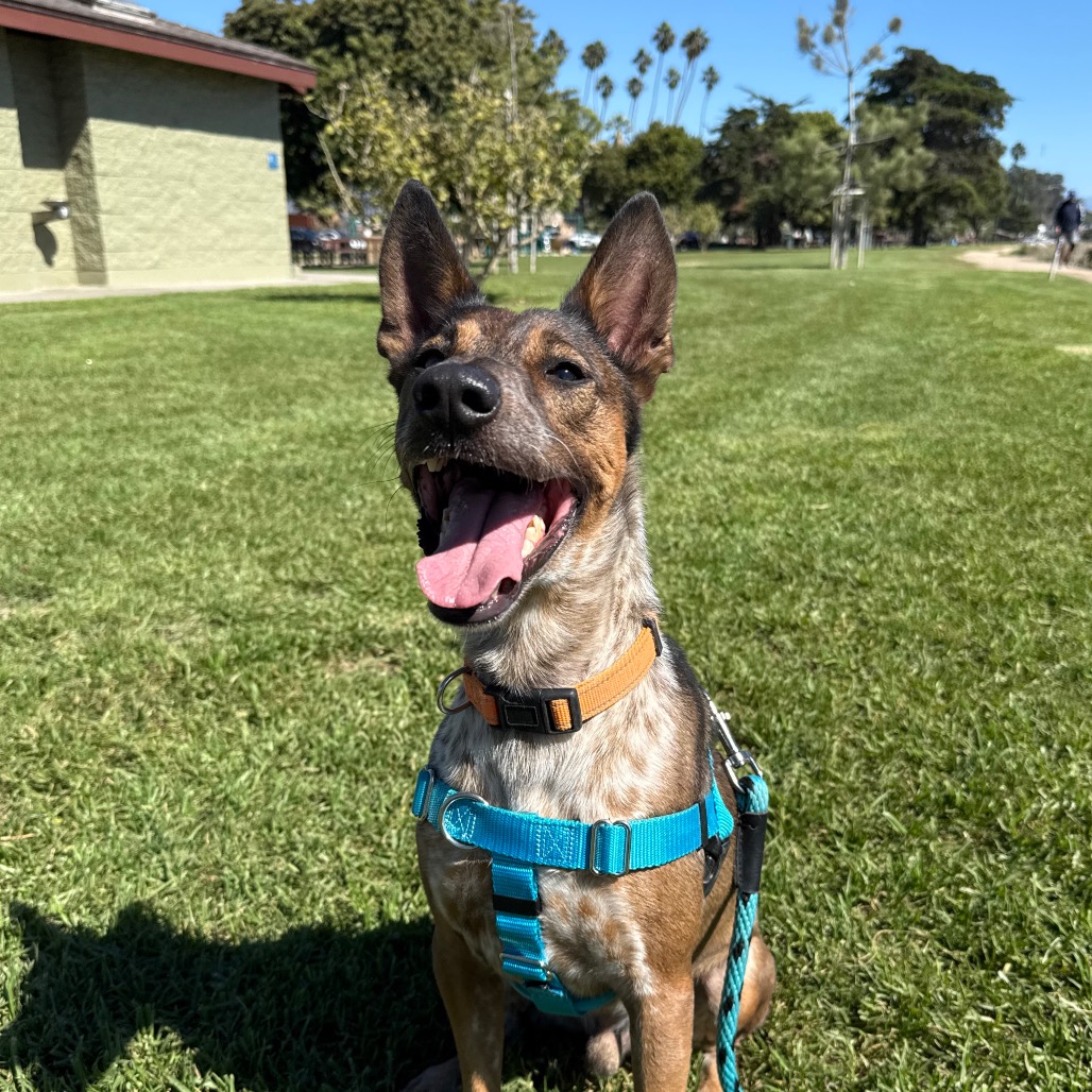 Cash, photo 34