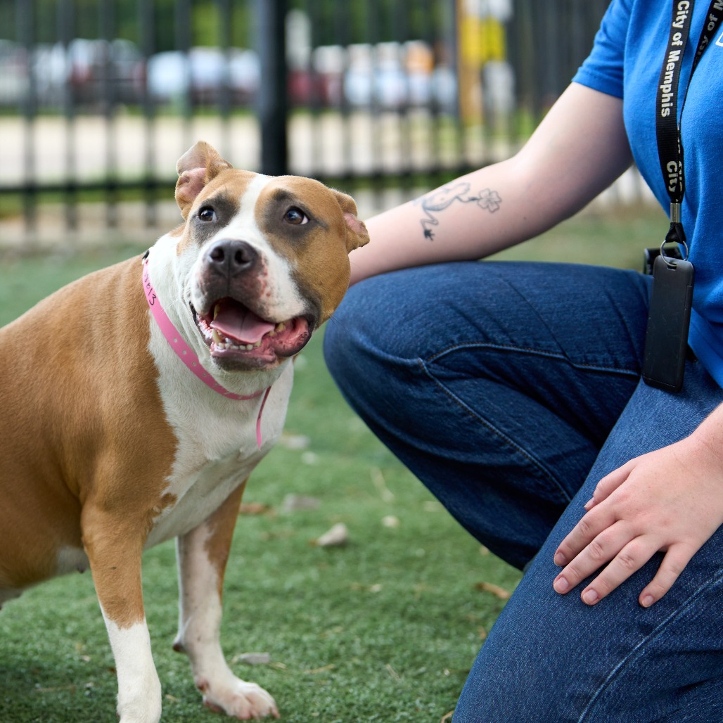 Isabella (formerly Diamond), photo 9