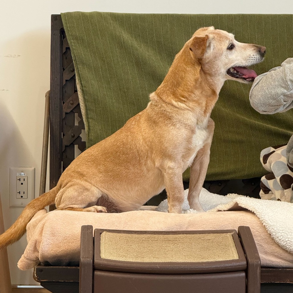 Chuck 13845 — thumbnail 5