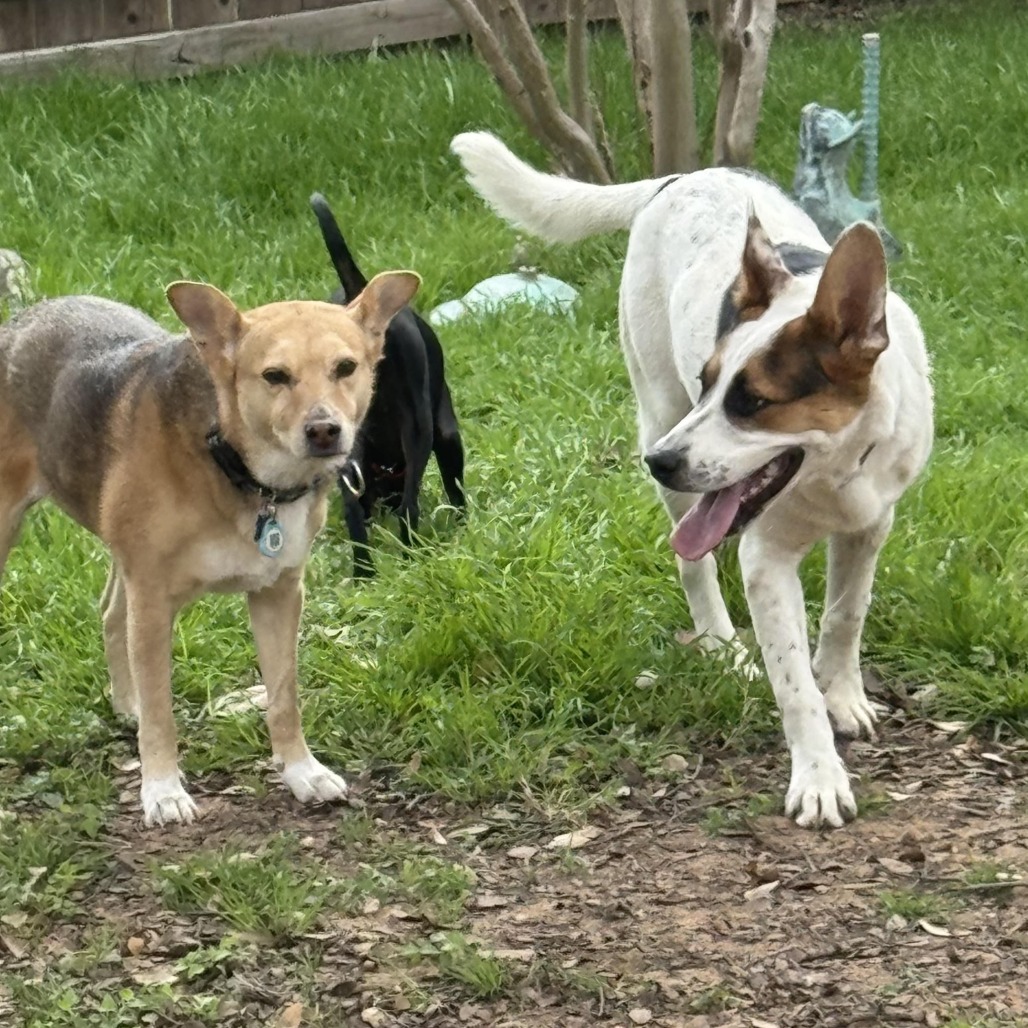 Radar — thumbnail 10