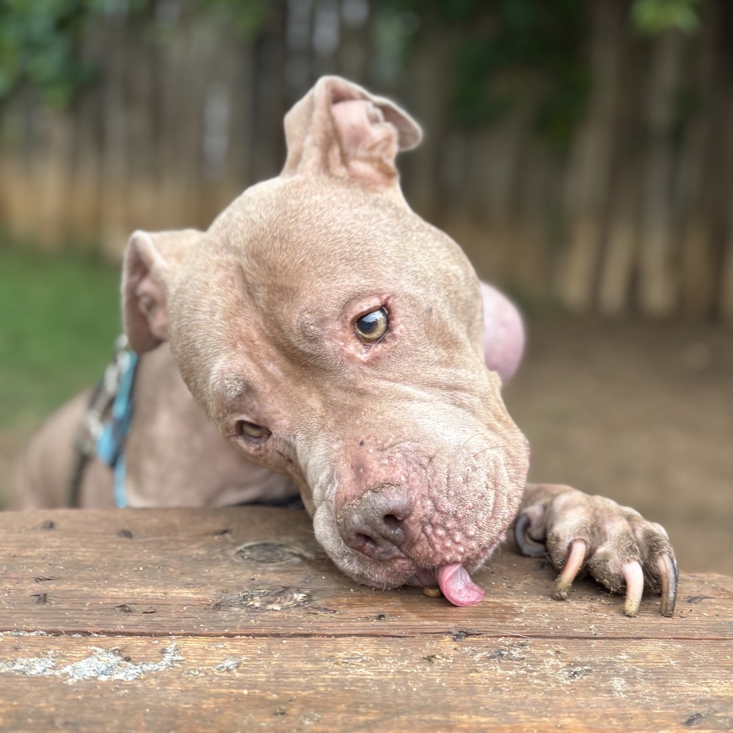Georgiana, additional photo