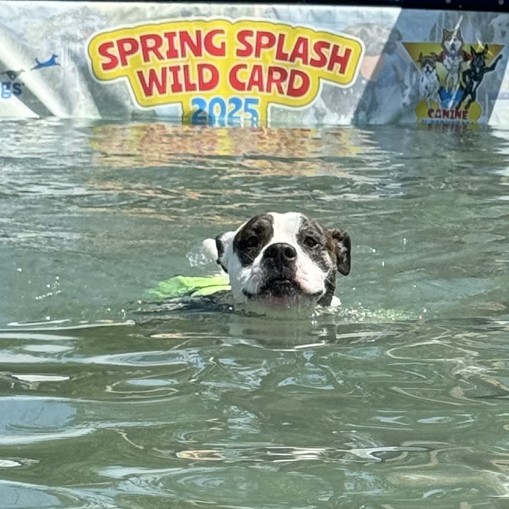 Petey, photo 19