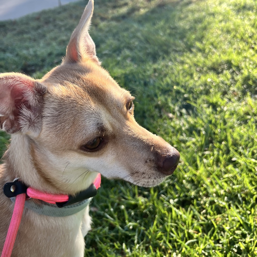 MJ - Costa Mesa Location, photo 15