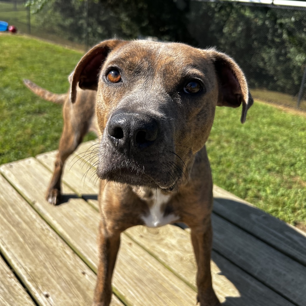 Ari — thumbnail 10