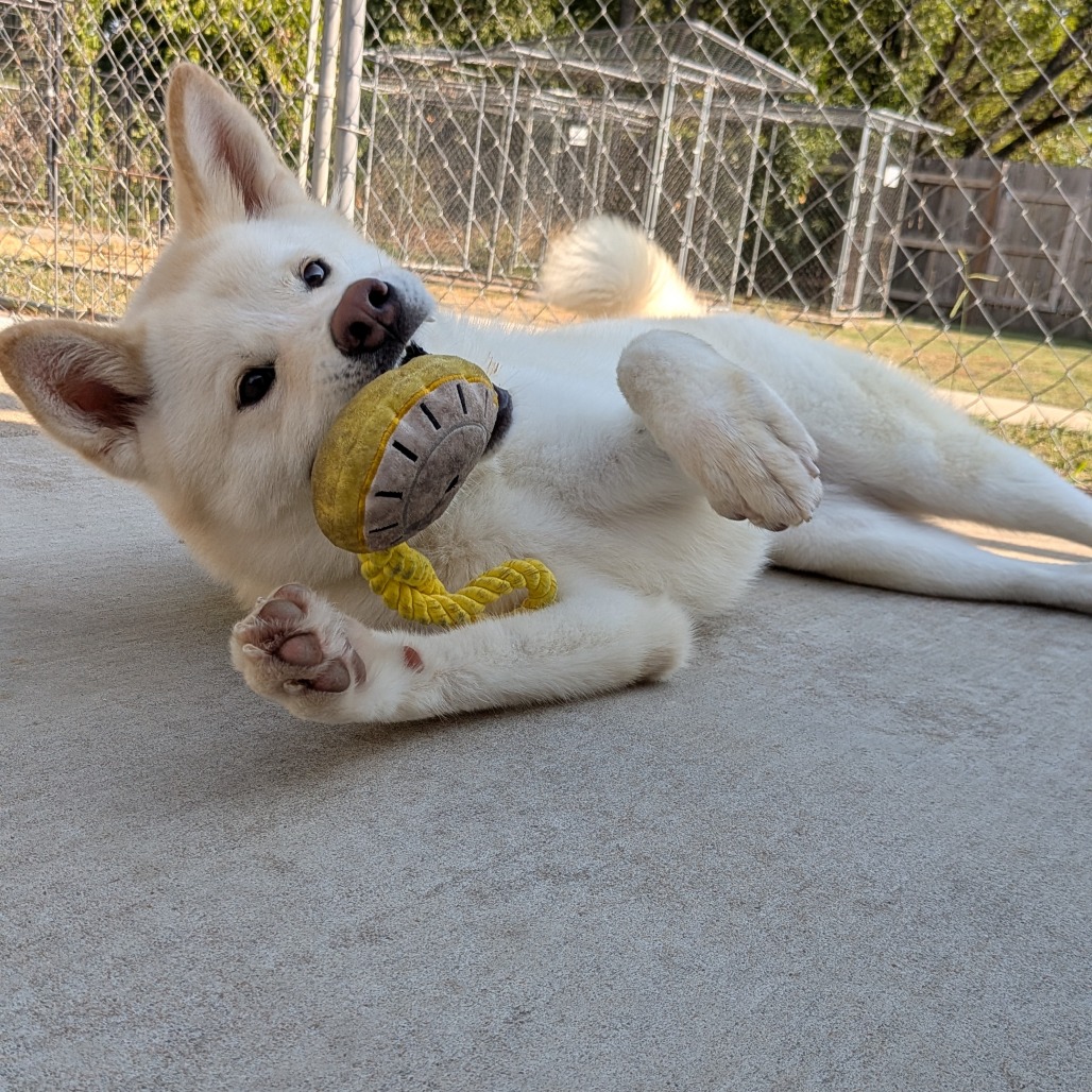 Maggie photo 9