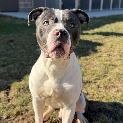 Don Gerald — thumbnail 4