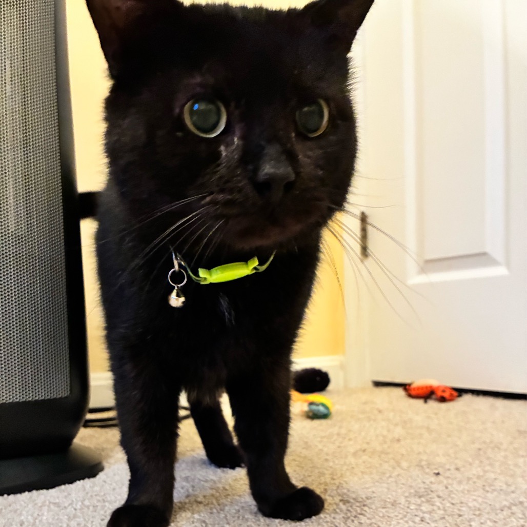 August — thumbnail 4