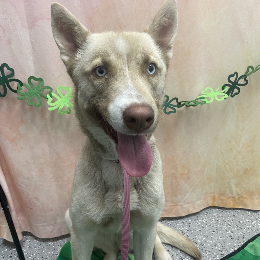 Jupiter — thumbnail 3