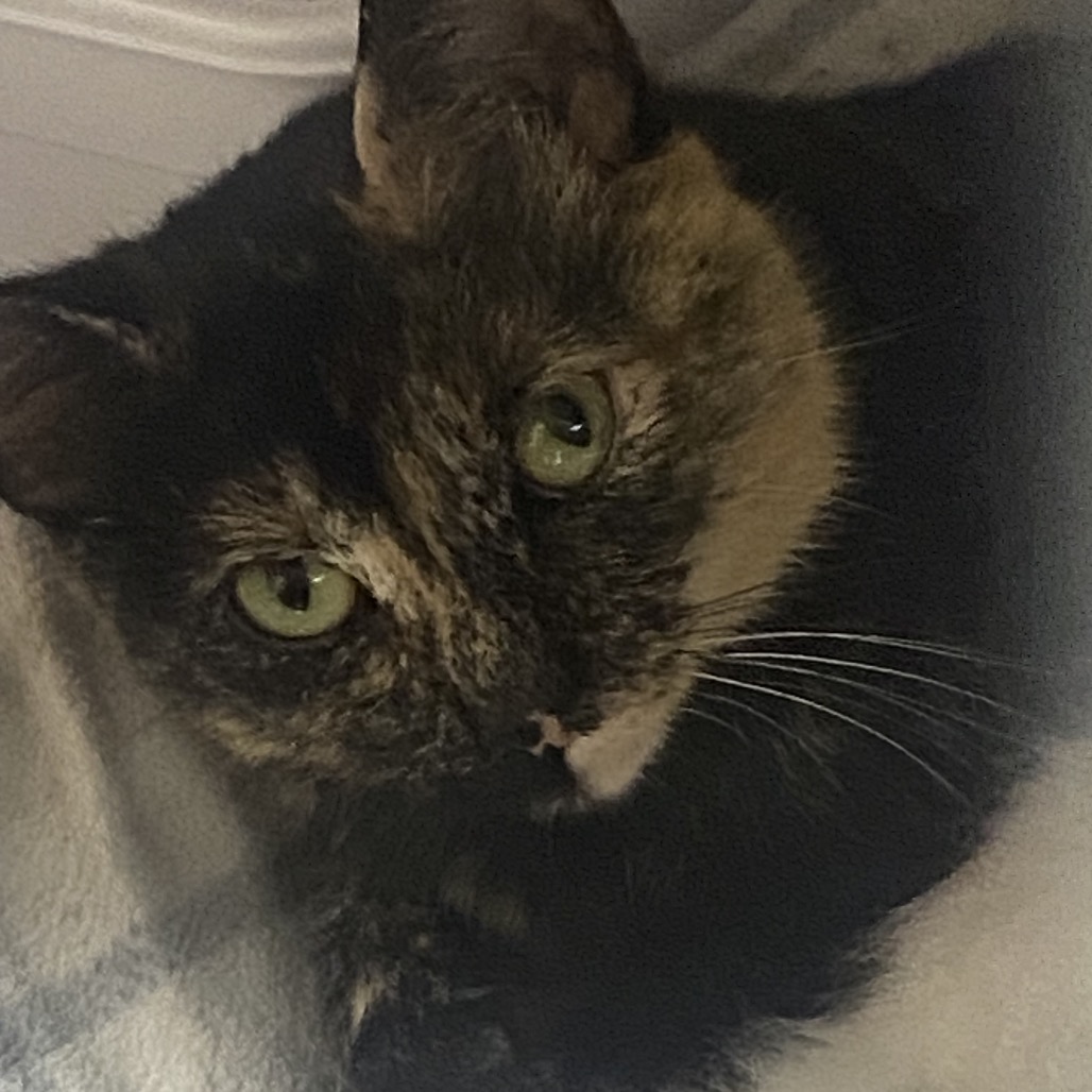 Pippie (mom), photo 4