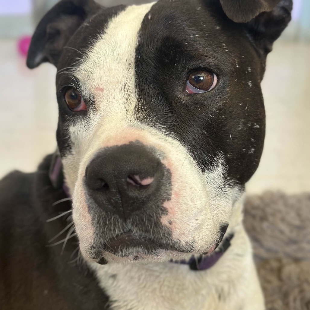 Sophia, photo 24