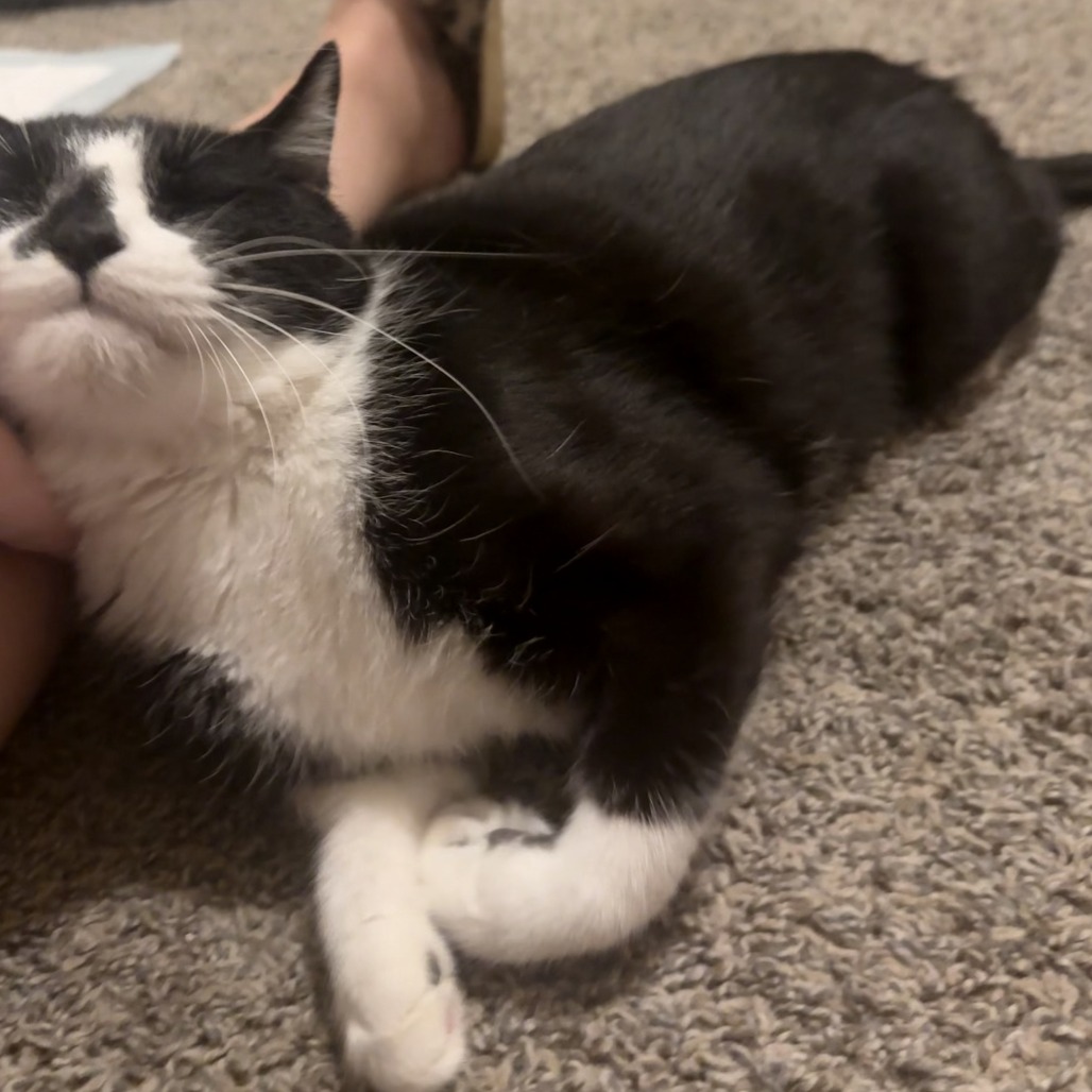 Buddy picture #11