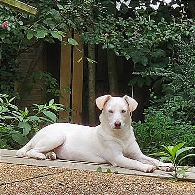 Wendy — thumbnail 4