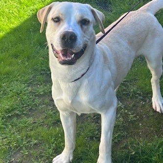 Kennel#23 Murphey's preview photo