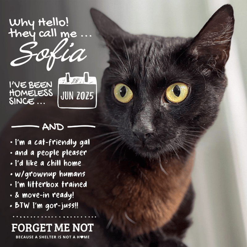 Sofia