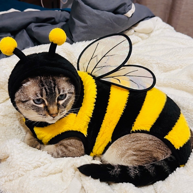 8861