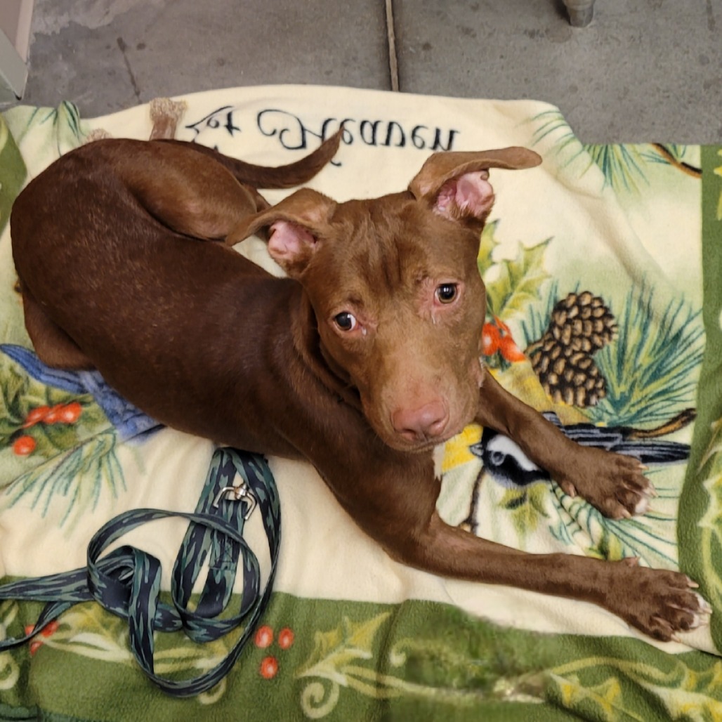 Photo of Starcraft 5