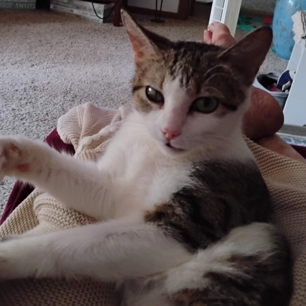 String Bean, photo 10