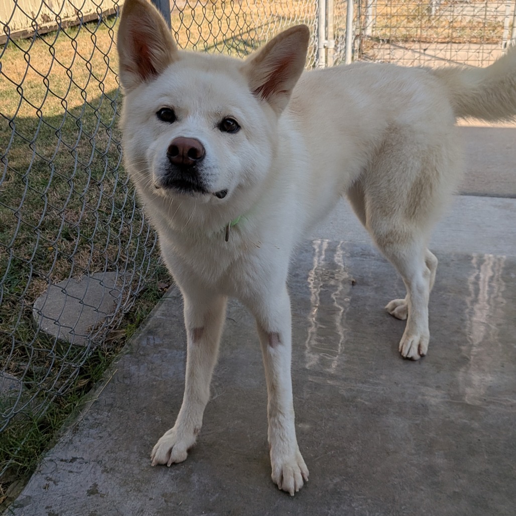 Maggie photo 4