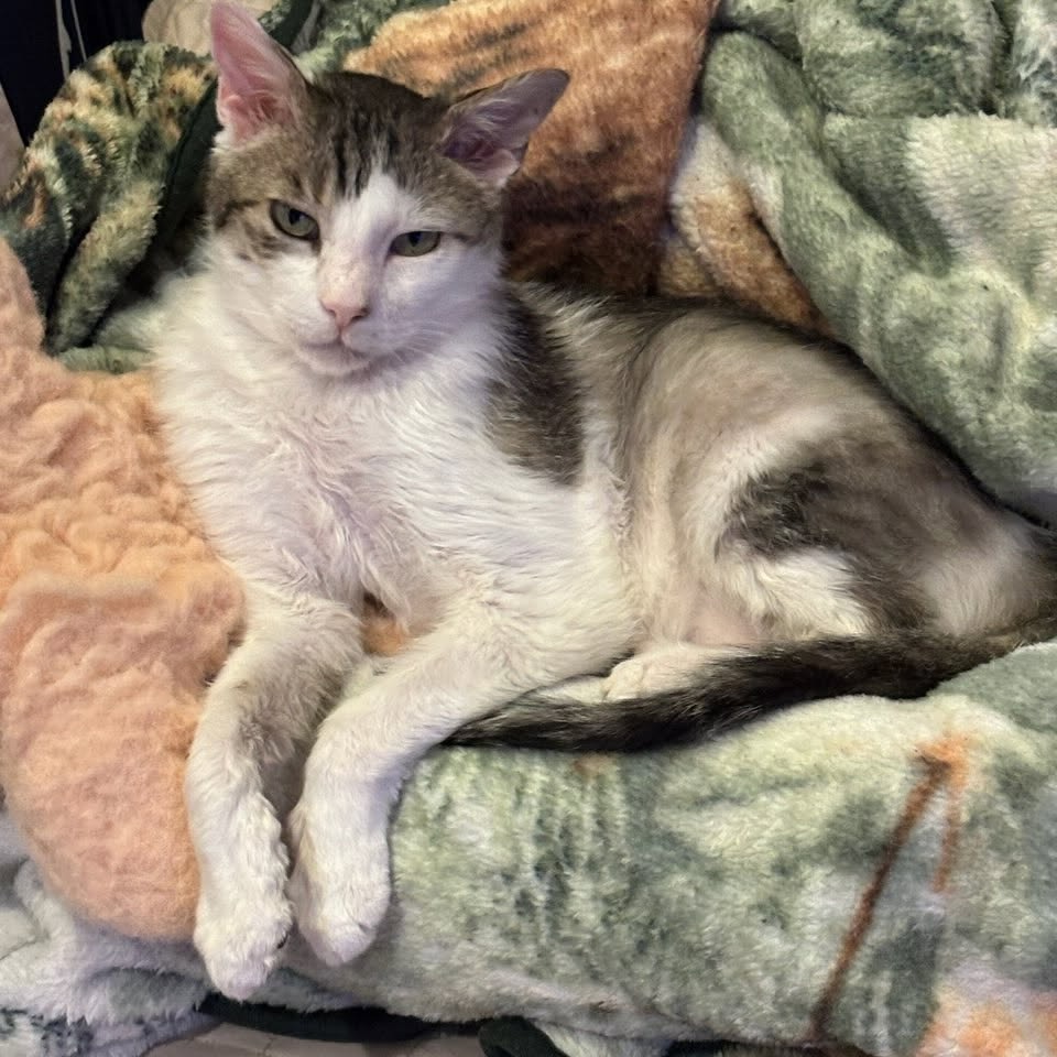 Cloud — thumbnail 2