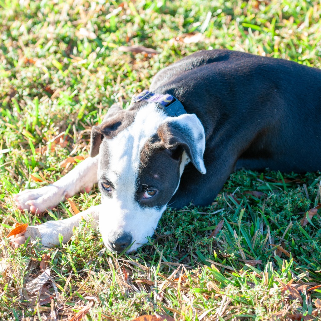Winnie, photo 6