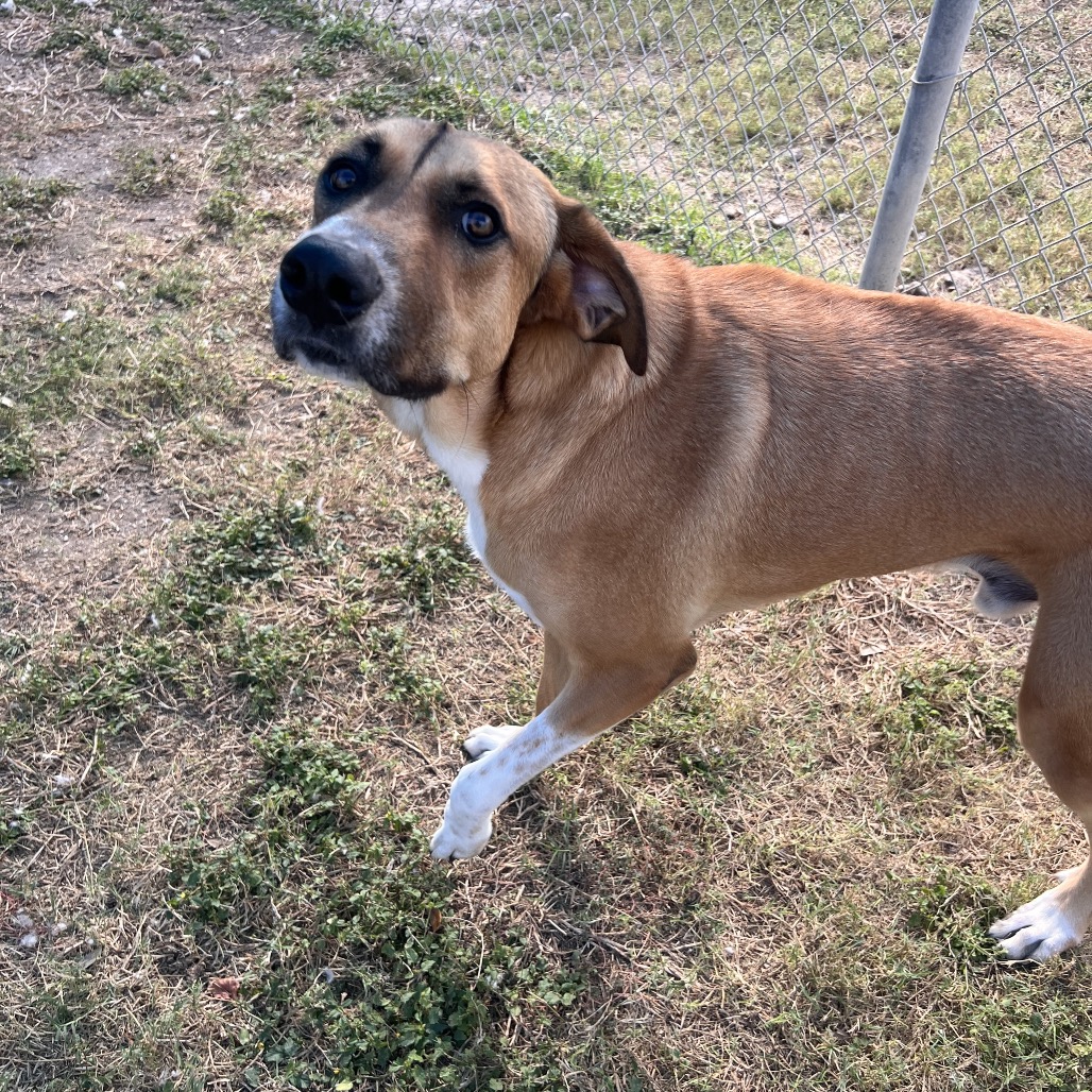 Huey photo 5