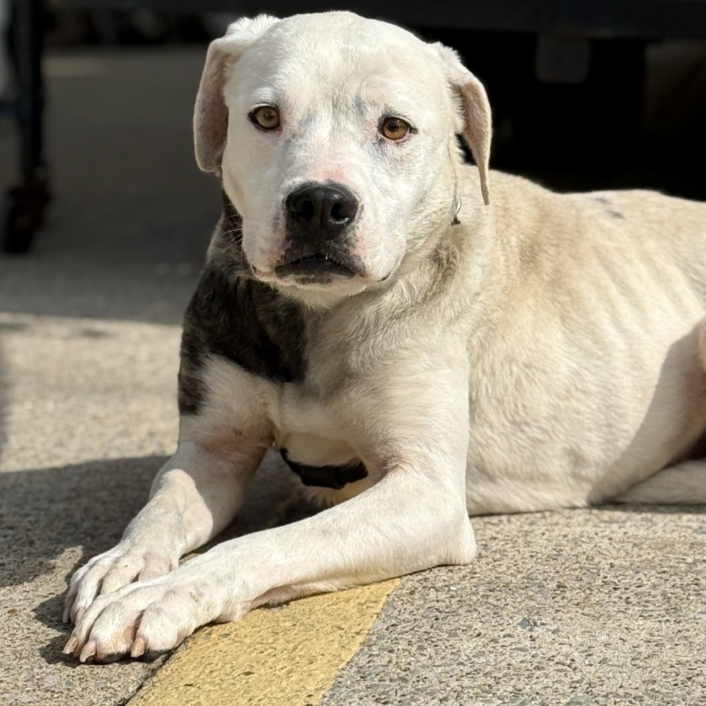 Jasper Cullen — thumbnail 3