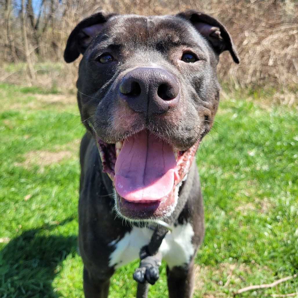 b89b9ad91d1322aa6871366945e22178