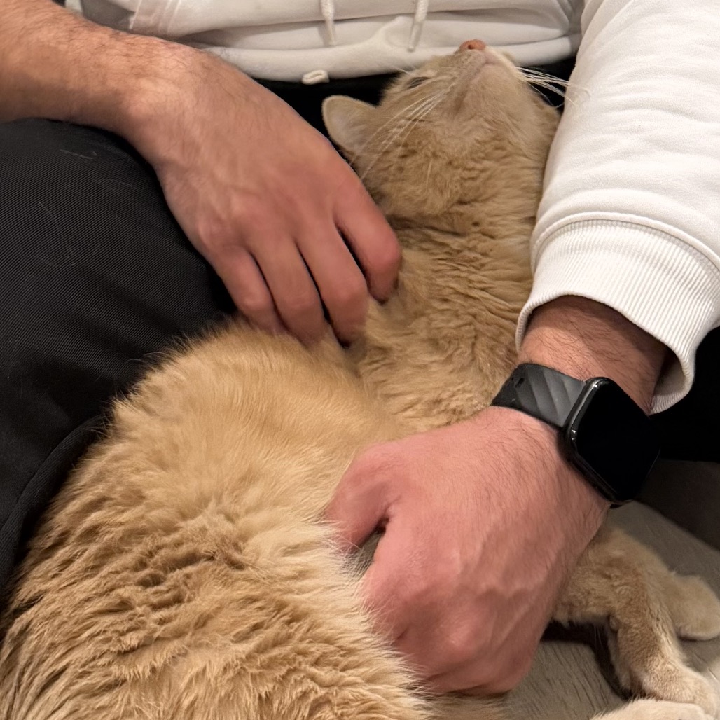 Yowie — thumbnail 5