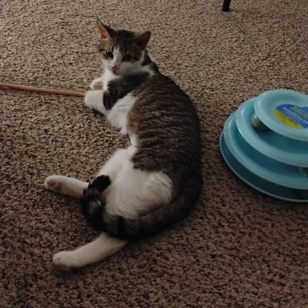 String Bean, photo 9