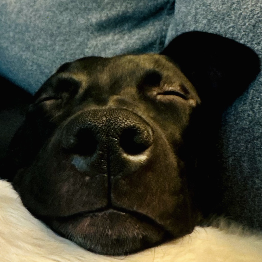 Cello — thumbnail 10