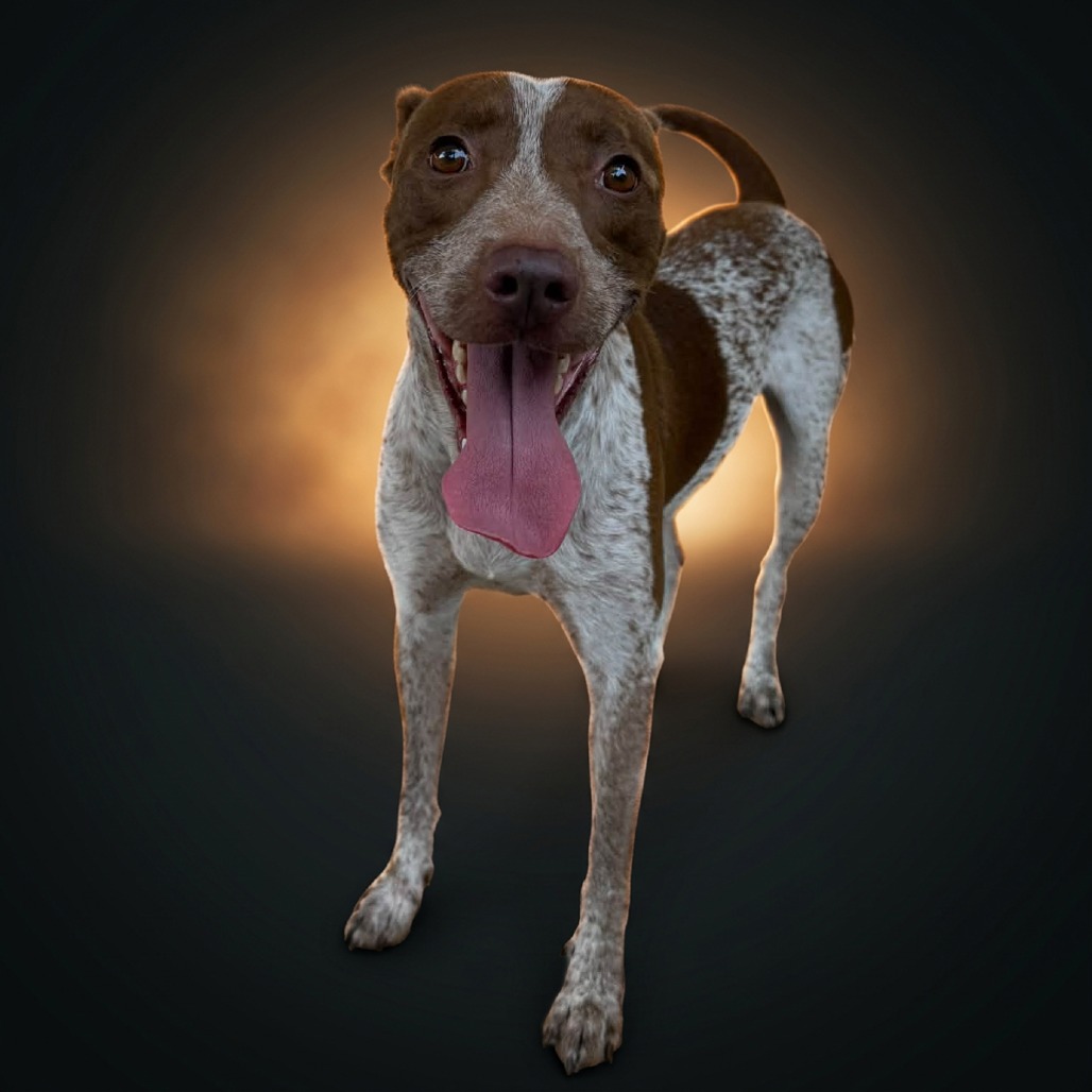 Photo of Rudy