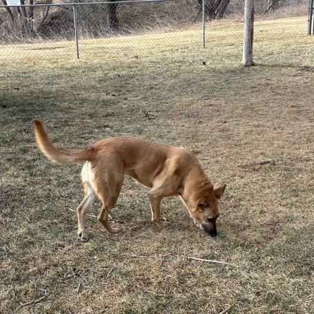 Shadow — thumbnail 7