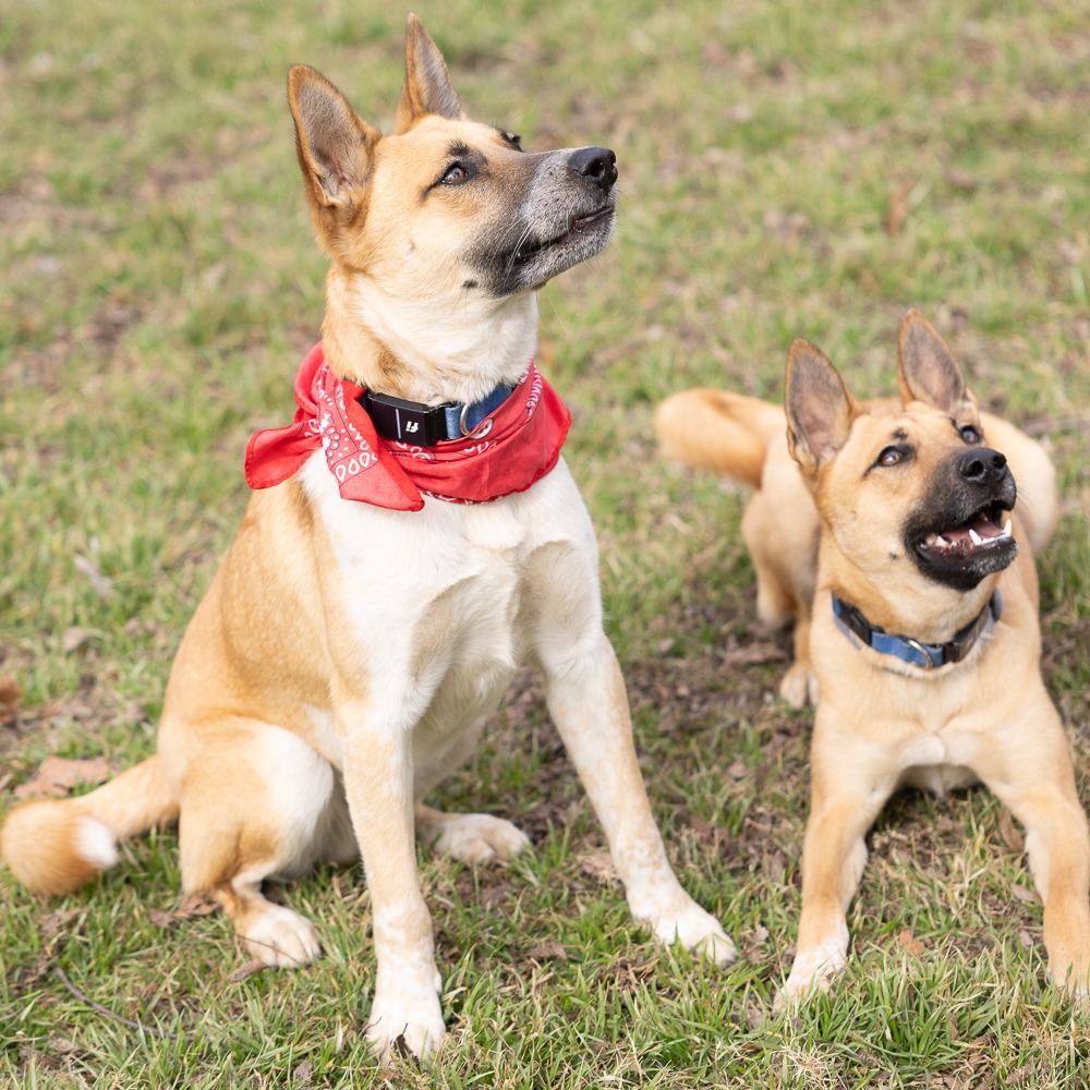 Rain — thumbnail 10