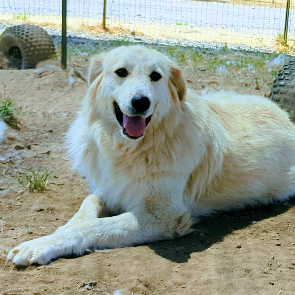 SOPHIE, photo 12