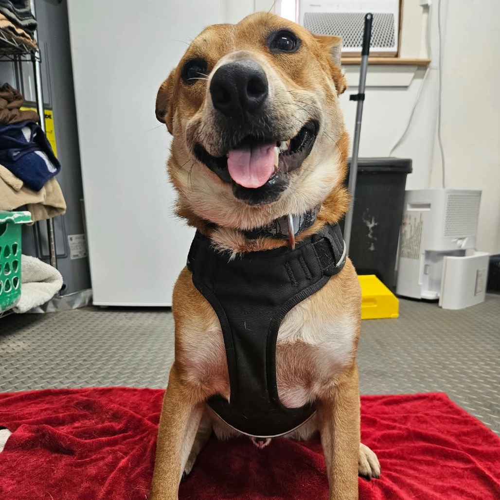Reagan, photo 23