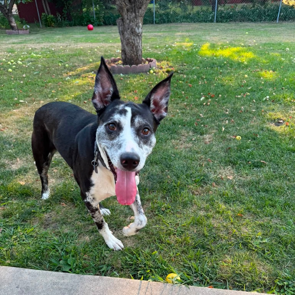 Beesly, photo 21