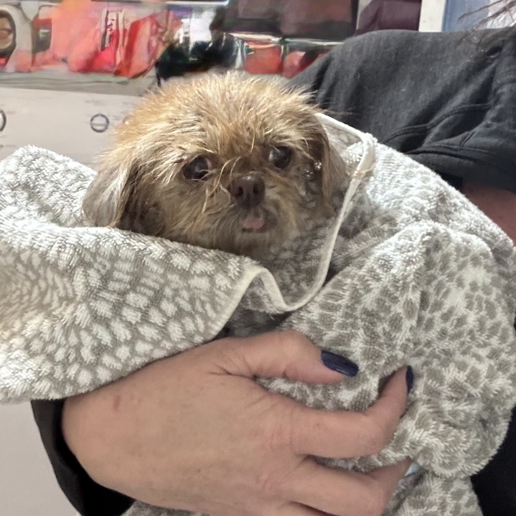 Jayna — thumbnail 2