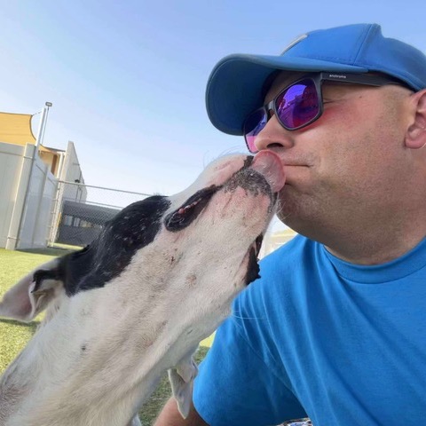 Dillan — thumbnail 3