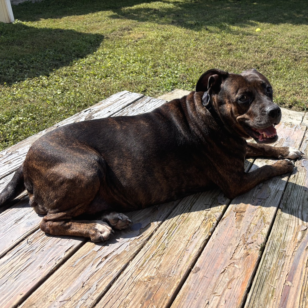 Queen Dolly, photo 4