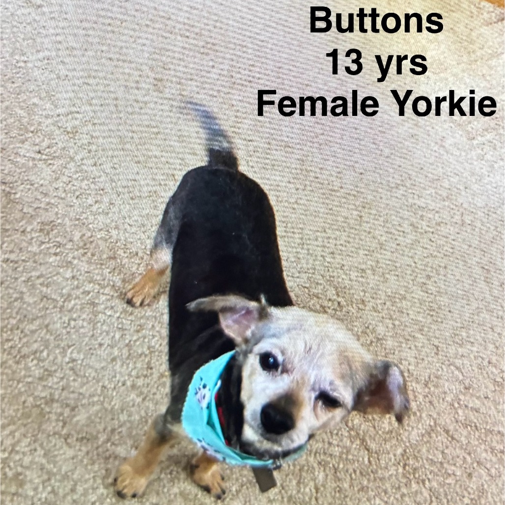 Buttons